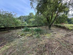 Site Photo- click for photo gallery